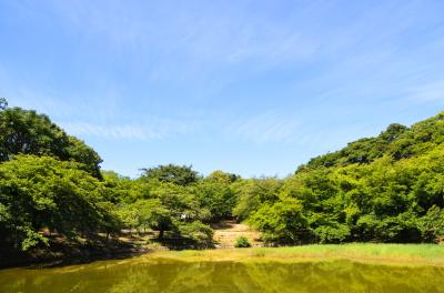 하나하쿠기념공원츠루미녹지, 여름 13