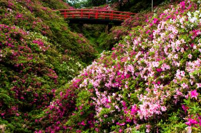 단노와유엔 Tannowa Yuen Park 淡輪遊園 Japan Osaka Sennan Misaki 일본 오사카부 센난 군 미사키 정 日本 大阪府 泉南郡 岬町 두피디아 포토커뮤니티