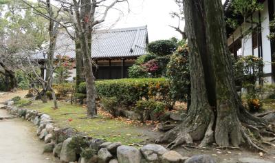 시텐노지-혼보우 정원 12