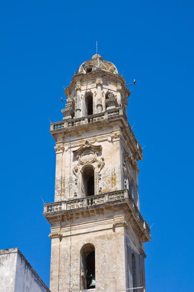 스테르나티아 가정교회 타워 09