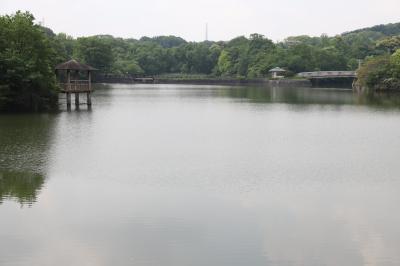 오다카 녹지, 비와가 연못 05