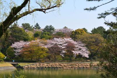 슈라쿠엔공원, 봄 풍경 09