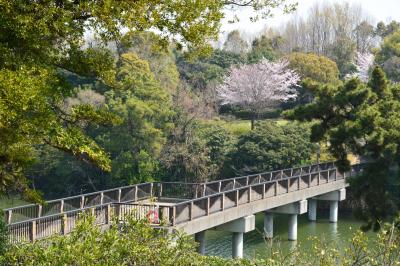 슈라쿠엔공원, 봄 풍경 11