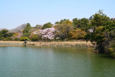 슈라쿠엔공원, 봄 풍경 12