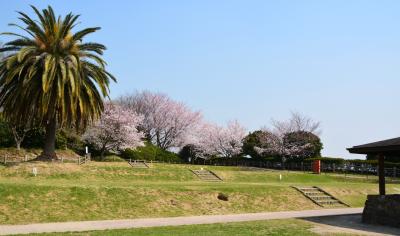 슈라쿠엔공원, 봄 풍경 13