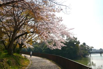 슈라쿠엔공원, 봄 풍경 14