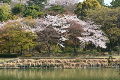 슈라쿠엔공원, 봄 풍경 15