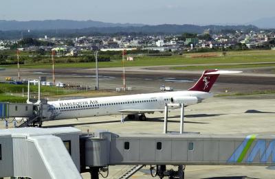 미야자키공항  11