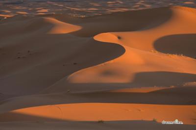 사하라사막