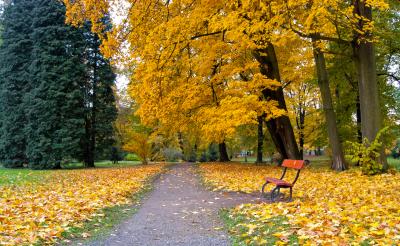 크로메르지시 성의 공원 가을풍경