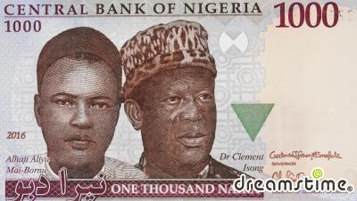 나이지리아 화폐(나이라)