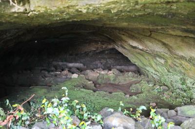 궤내기 동굴
