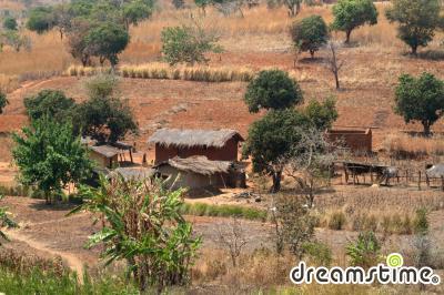 말라위 전통가옥