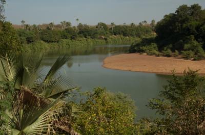 니오콜로 코바 국립공원 감비아 강