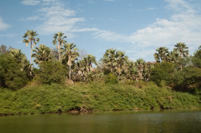 니오콜로 코바 국립공원 감비아 강