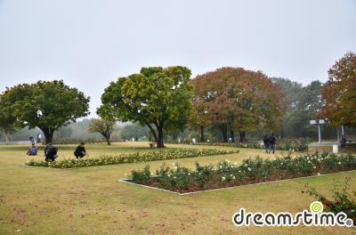 자키르 후세인 장미 정원