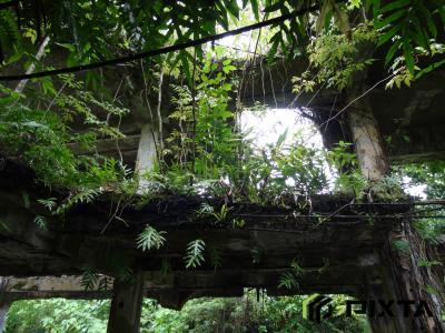 페리류섬 일본군사령부 유적 내부 사진