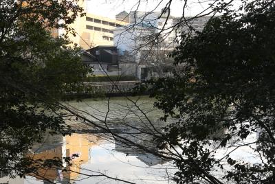 오오모토 화명산 식물원