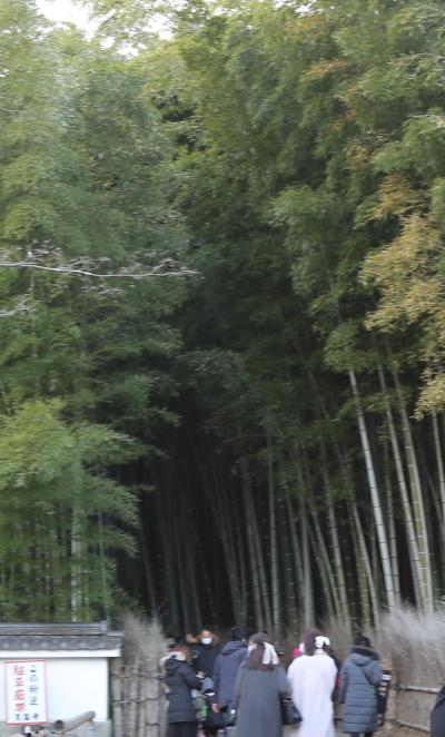 아라시야마 대나무 숲길