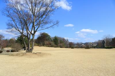시이카노모리 공원