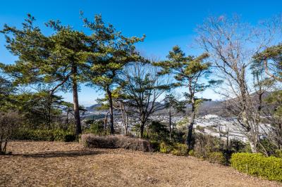 일본라인우누마숲 전망대 10