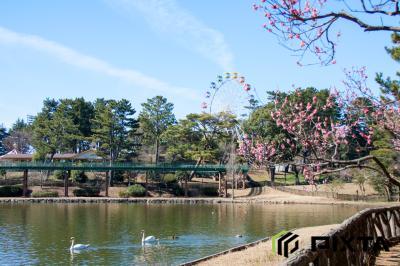 미나미 공원 유원지