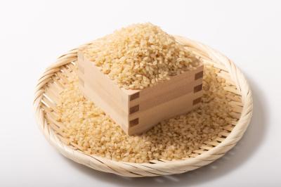 일본의 쌀