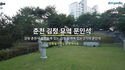 춘천 김정 묘역 문인석