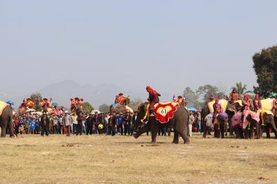 사야부리 코끼리 축제 09