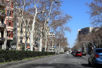 바르셀로나 대성당 가는 도로 모습 11