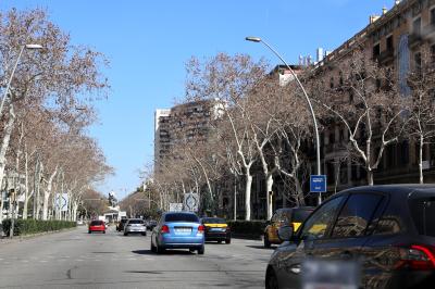 바르셀로나 대성당 가는 도로 모습 12