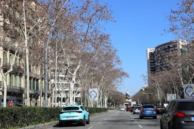바르셀로나 대성당 가는 도로 모습 13