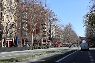 바르셀로나 대성당 가는 도로 모습 17