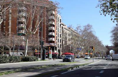 바르셀로나 대성당 가는 도로 모습 18