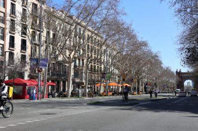 바르셀로나 대성당 가는 도로 모습 19