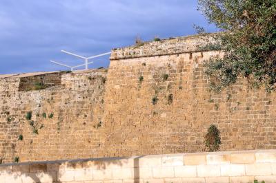 고대 요새의 일부 09