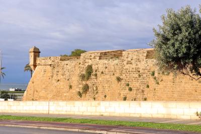 고대 요새의 일부 10