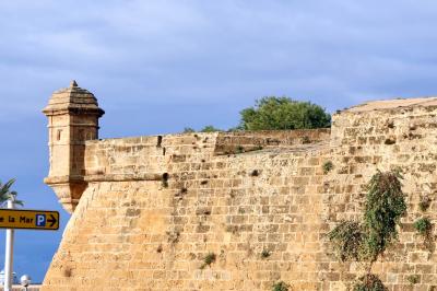 고대 요새의 일부 11