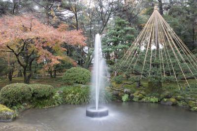 겐로쿠엔 정원 소나무 유키츠리