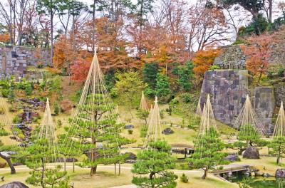 겐로쿠엔 정원 소나무 유키츠리