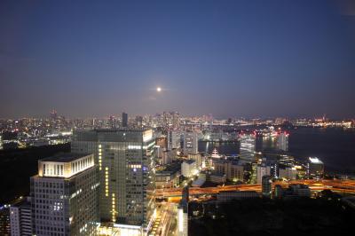 도쿄 시내 야경 08