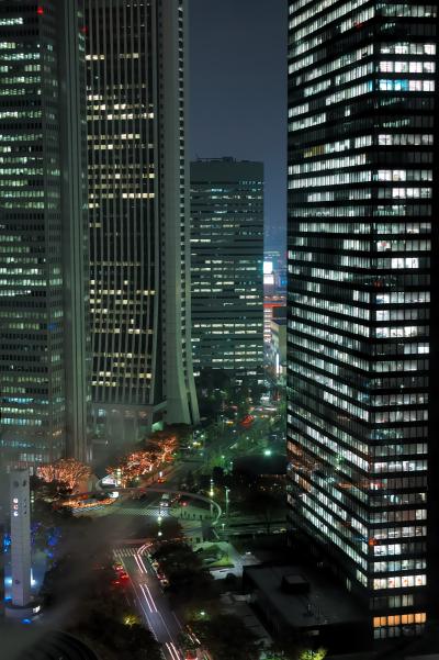 신쥬쿠 고층빌딩 야경 10