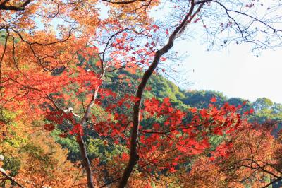 미노오 공원, 가을