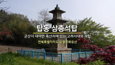 탑동 삼층석탑