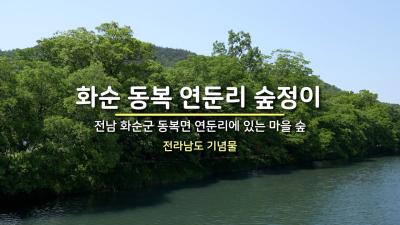 화순 동복 연둔리 숲정이