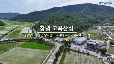 창녕 고곡산성