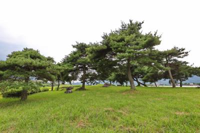 구례 봉서리 지석묘군