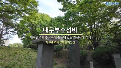 대구부수성비