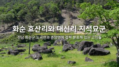 화순 효산리와 대신리 지석묘군