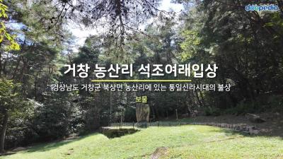 거창 농산리 석조여래입상